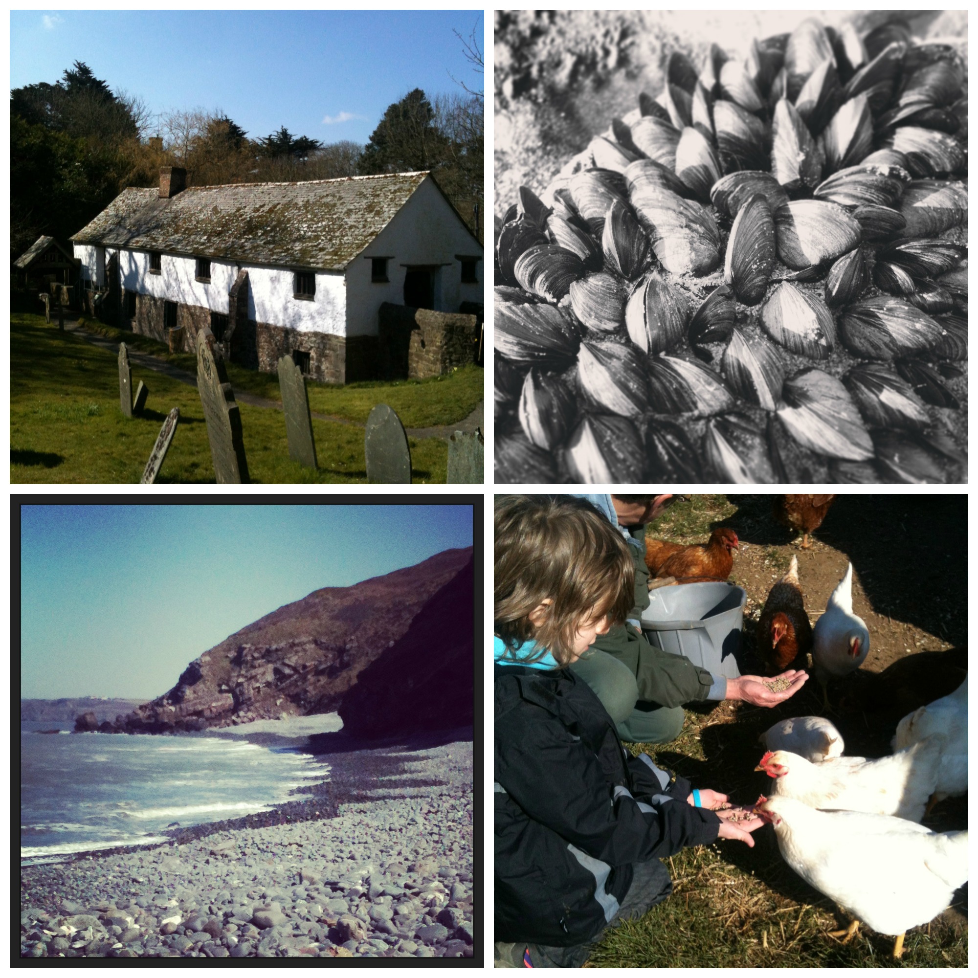 Cornwall Collage 1