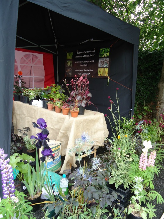 secret garden plant stall 2