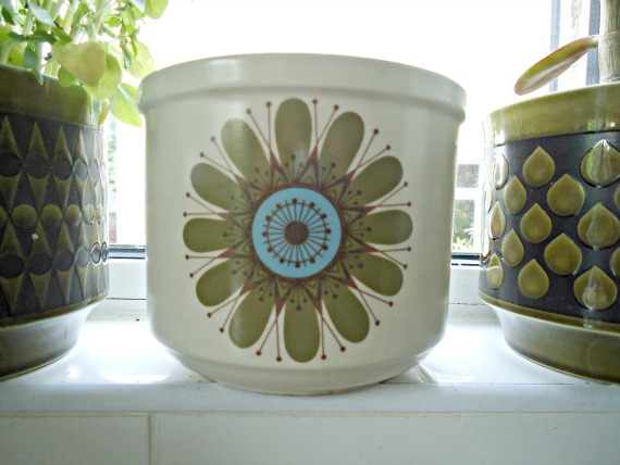 modflowers: antique fair plant pot