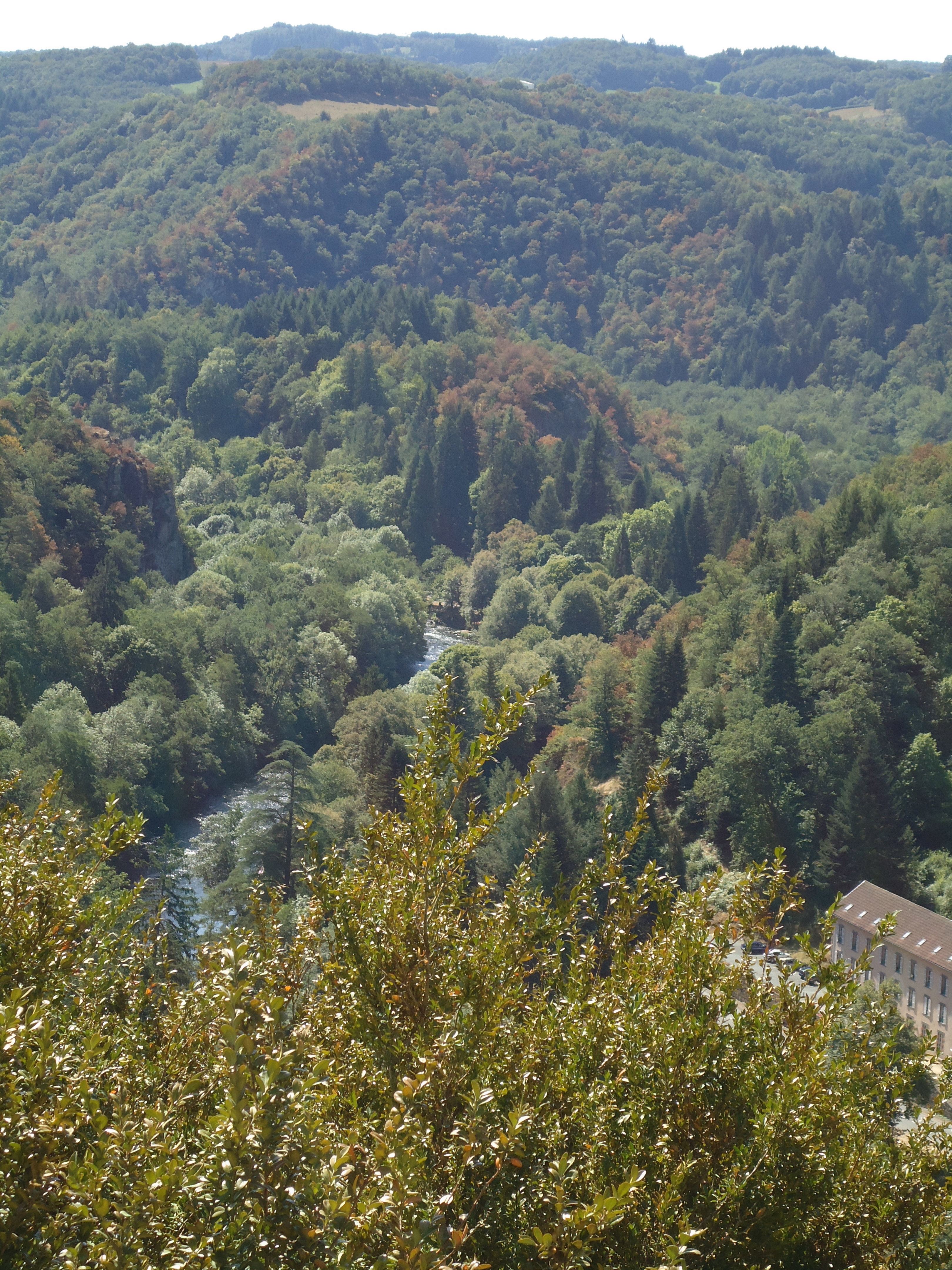 modflowers: view down the river Sioule