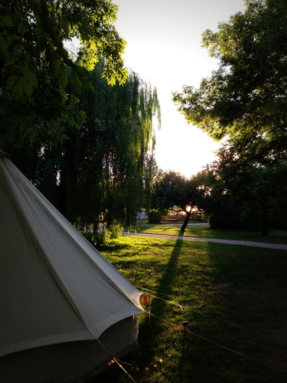 modflowers: evening at the campsite