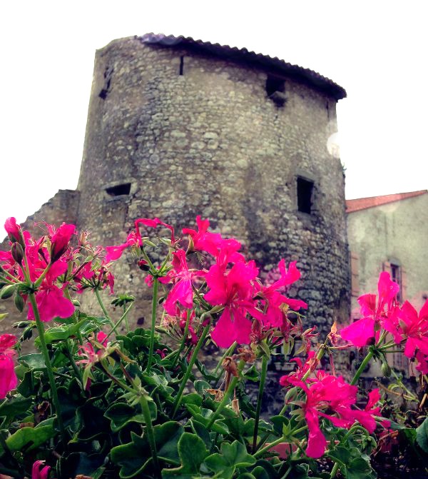 modflowers: ramparts at Charroux