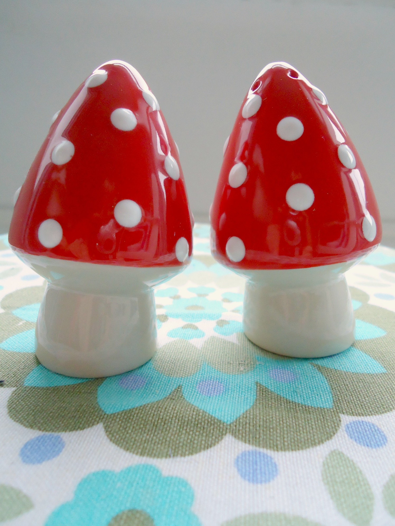 modflowers: toadstool salt and pepper set