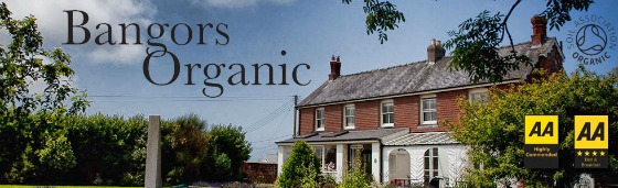 modflowers: bangers organic restaurant & guest house