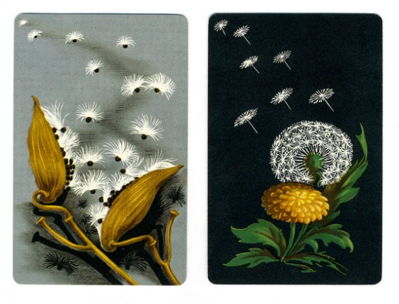 modflowers: vintage playing cards