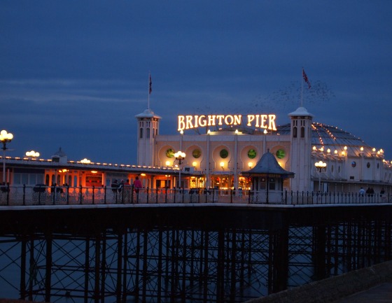 modflowers: brighton pier