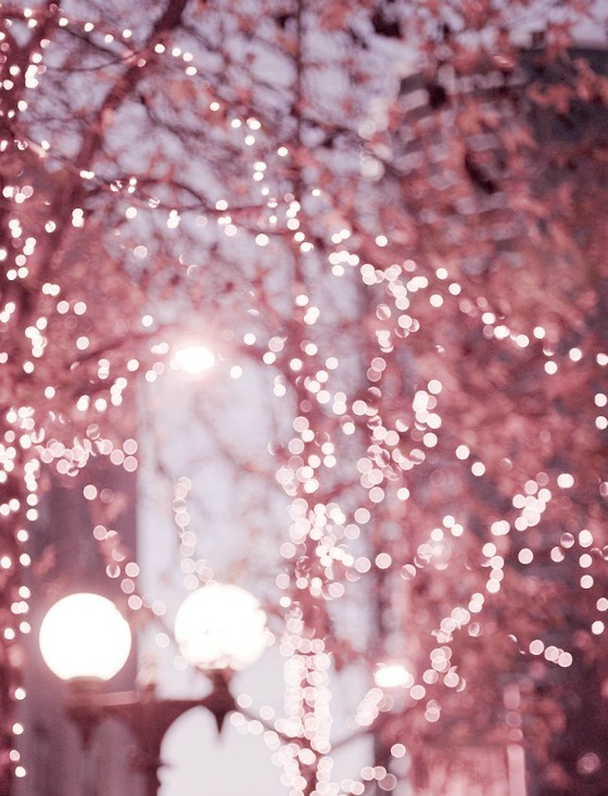 modflowers: sparkling lights by Georgianna Lane