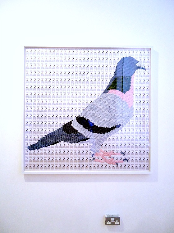 modflowers: joy pitts - pigeon