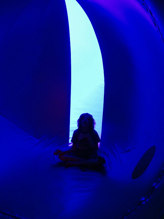 modflowers: luminarium