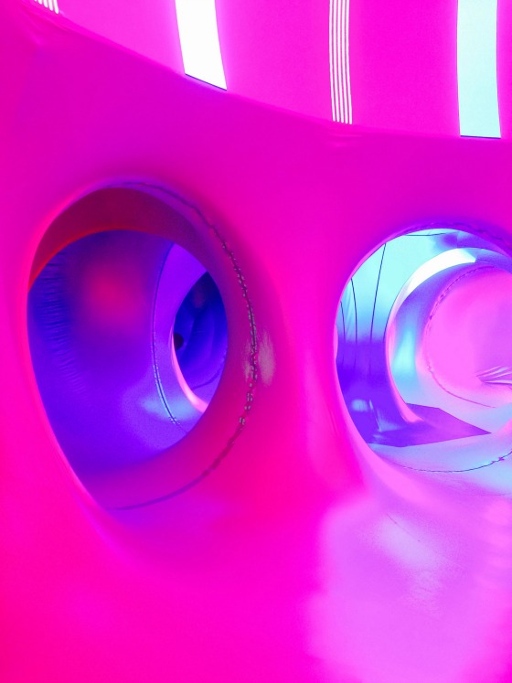 modflowers: luminarium