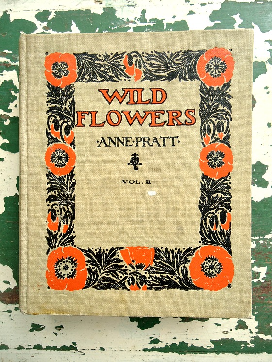 modflowers: vintage wildflowers book