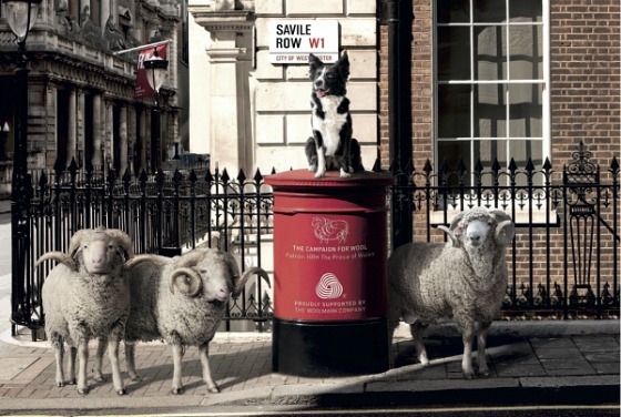 modflowers: sheep on Savile Row