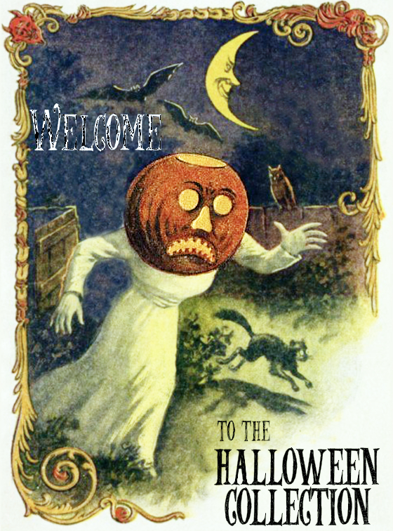 modflowers: welcome to the halloween collection