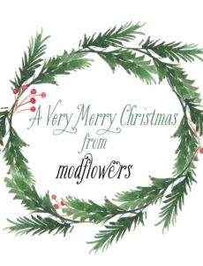 A Very Merry Christmas from modflowers